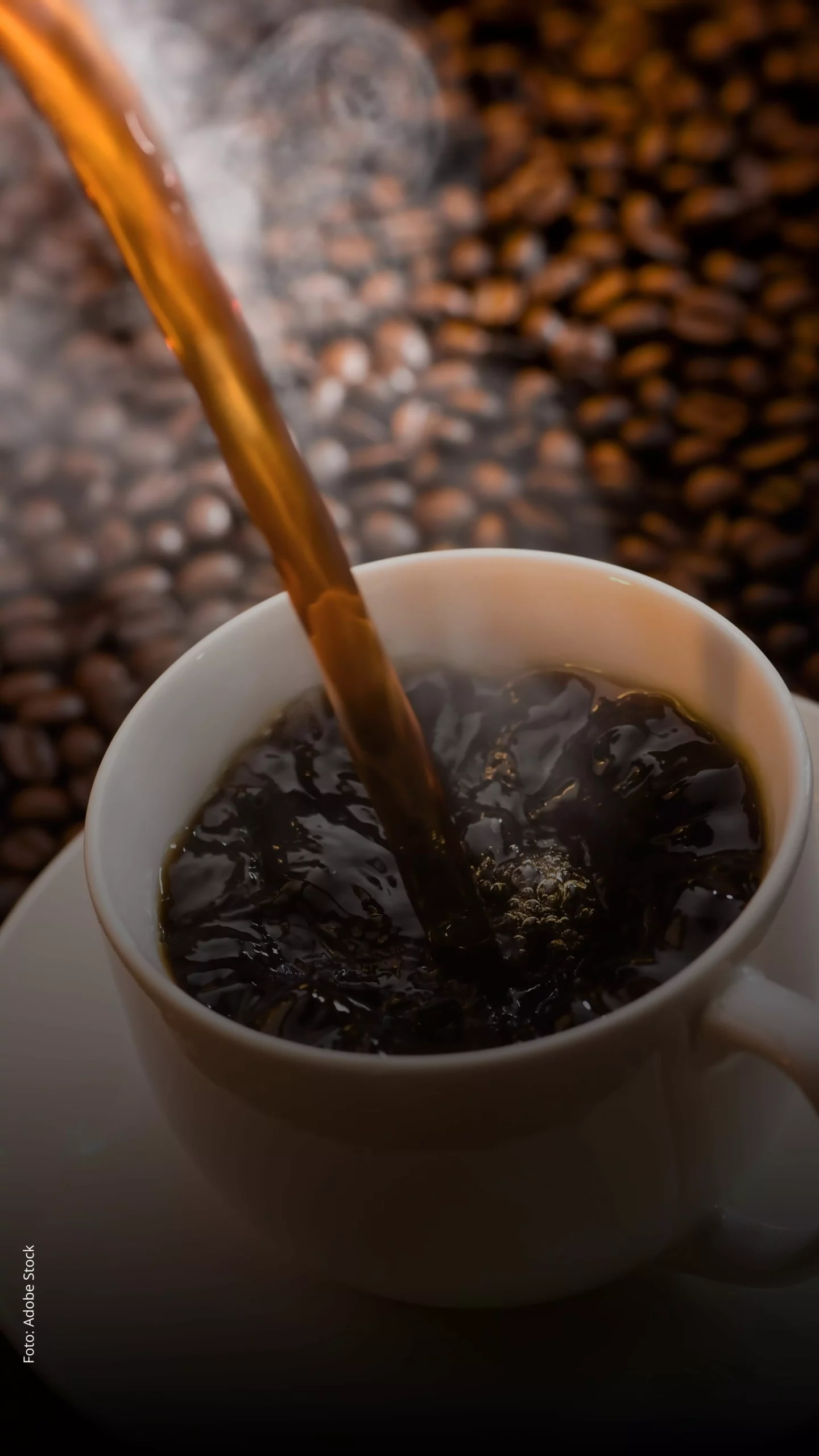 Imagem principal sobre o O preço do café vai cair nos próximos meses? Veja projeções